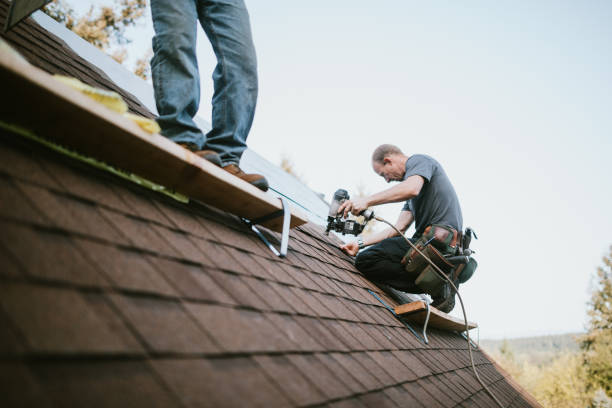 Professional Roofing Contractor in Cassville, WV